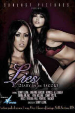Lies: Diary of an Escort (2011) Poster