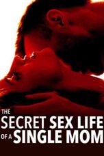 The Secret Sex Life of a Single Mom (2014) Poster