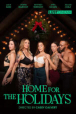 Home for the Holidays (2021)