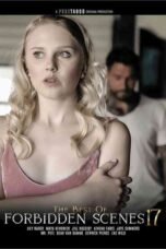 The Best of Forbidden Scenes 17 (2025)